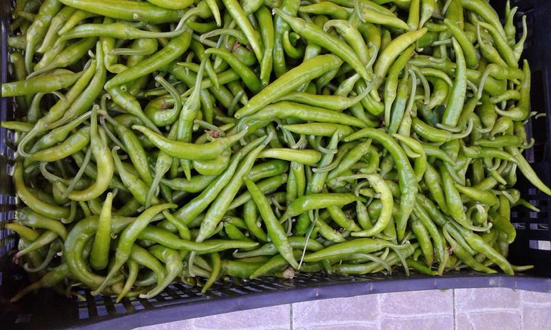 Πιπεράκια μπακάλικα: Ο πεντανόστιμος μεζές από τις Σέρρες που οι Αθηναίοι δεν γνωρίζουν