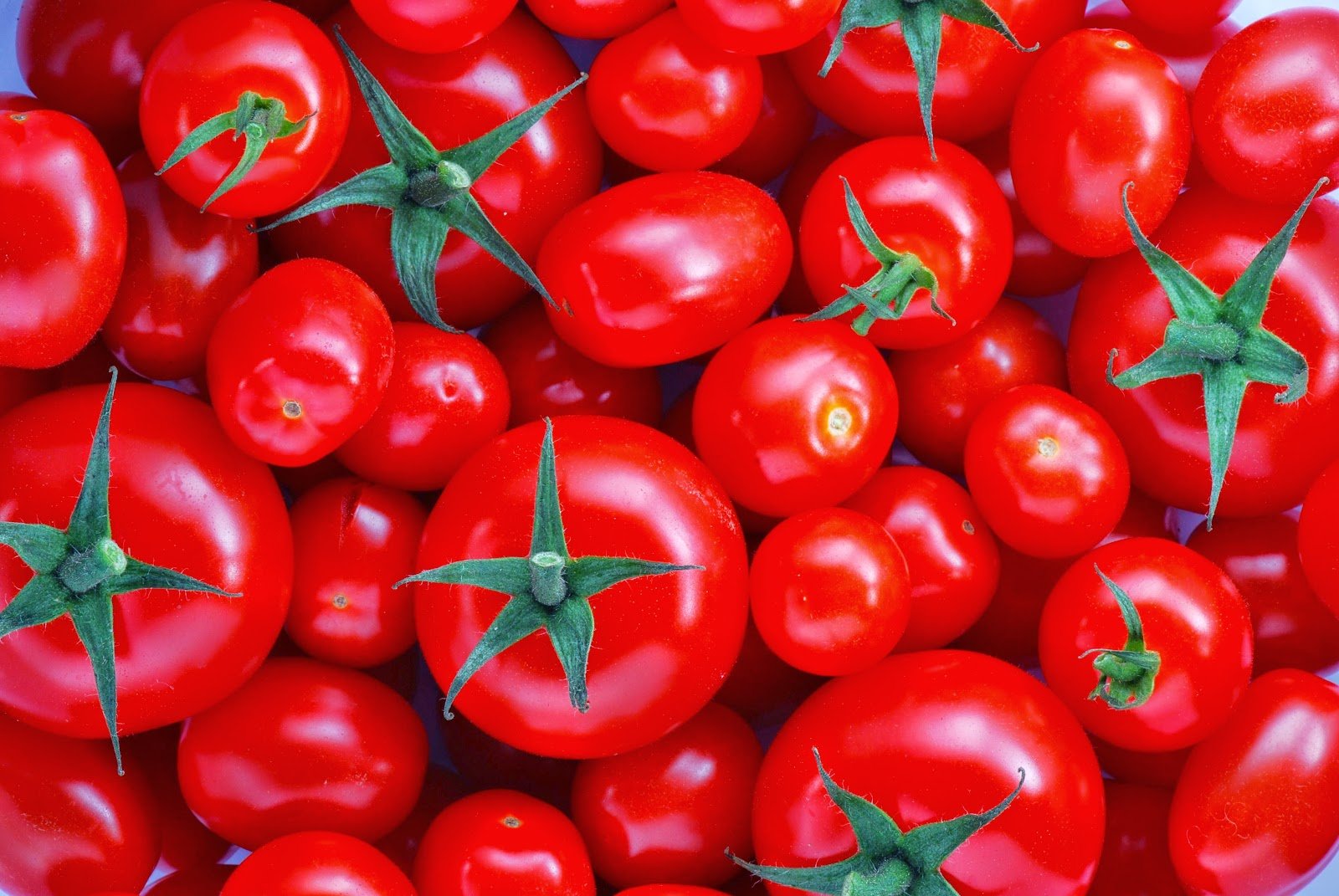 ntomates