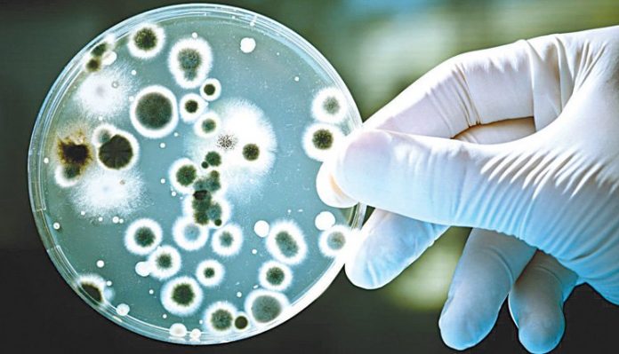 endonosokomeiakes-loimokseis